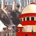 Supreme Court Stays Madras High Court's Blanket Ban on Cow Slaughter in Tamil Nadu